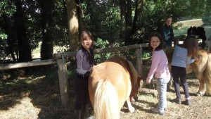 Colonie de vacances Equitation