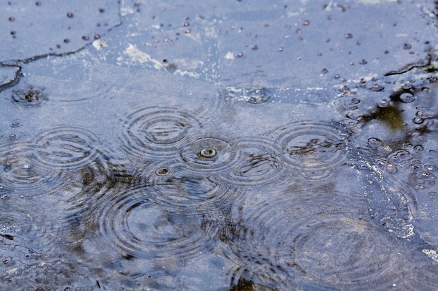 pluie qui tombe