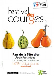 Affiche festival des courges