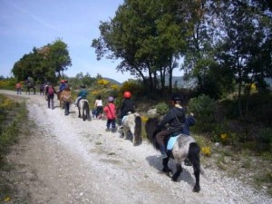 colonie-vacances-equitation-capjuniors