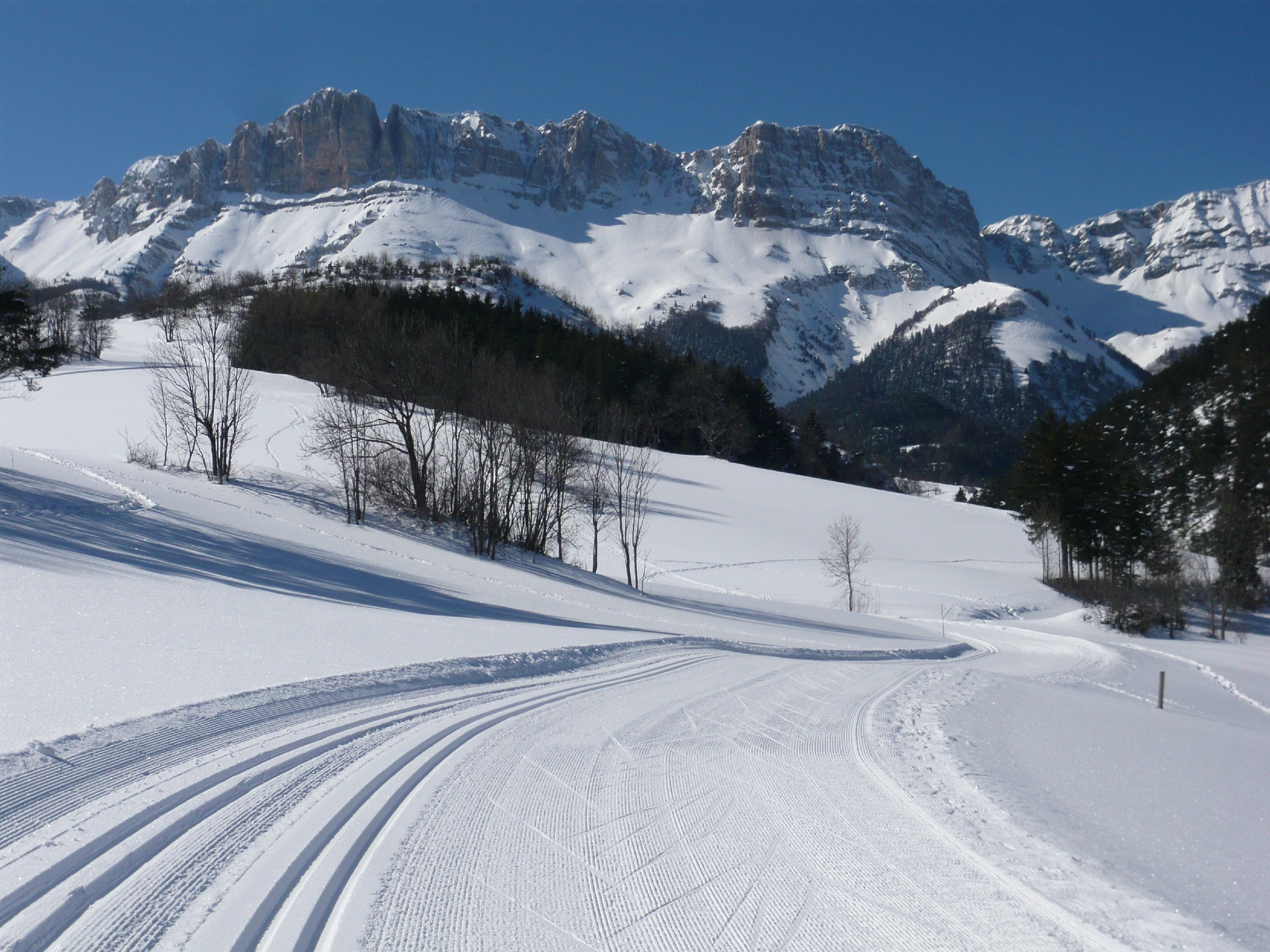 Colonie de vacances au ski